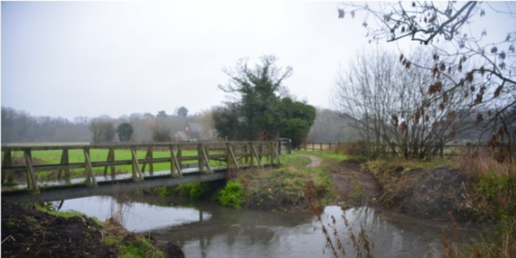 water and a bridge with lots of greenery