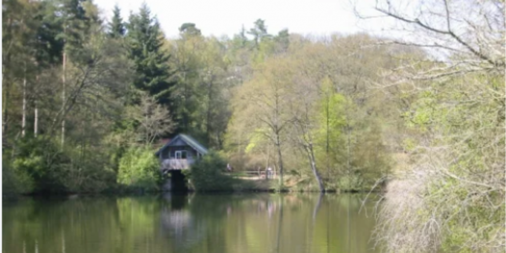 Rowledge Pond